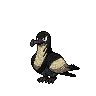 Metallic Kilowattrel
